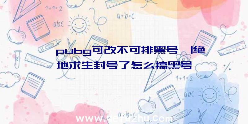 「pubg可改不可排黑号」|绝地求生封号了怎么搞黑号